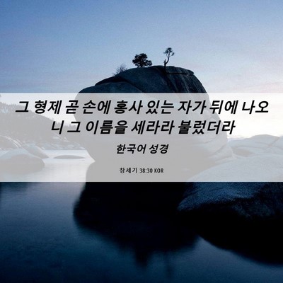 Picture 06 - 창세기 38:30 KOR - 그 형제 곧 손에 홍사 있는 자가 뒤에 - Bible Verse Picture
