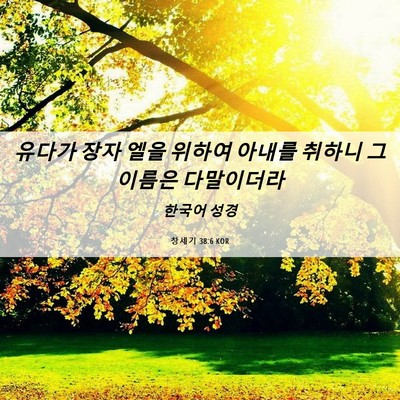 Picture 06 - 창세기 38:6 KOR - 유다가 장자 엘을 위하여 아내를 - Bible Verse Picture