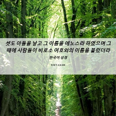 Picture 06 - 창세기 4:26 KOR - 셋도 아들을 낳고 그 이름을 - Bible Verse Picture