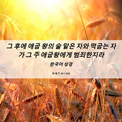 Picture 06 - 창세기 40:1 KOR - 그 후에 애굽 왕의 술 맡은 자와 - Bible Verse Picture