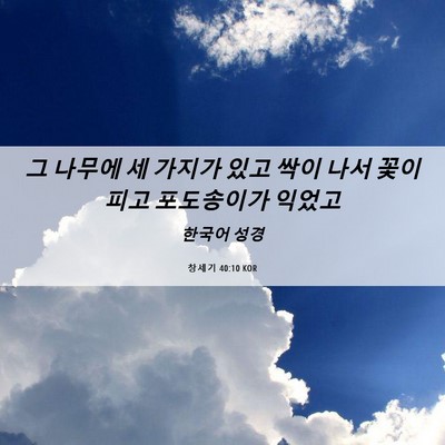 Picture 06 - 창세기 40:10 KOR - 그 나무에 세 가지가 있고 싹이 나서 - Bible Verse Picture
