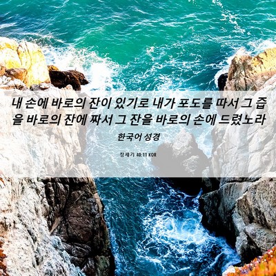 Picture 06 - 창세기 40:11 KOR - 내 손에 바로의 잔이 있기로 내가 - Bible Verse Picture