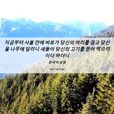Picture 06 - 창세기 40:19 KOR - 지금부터 사흘 안에 바로가 당신의 - Bible Verse Picture