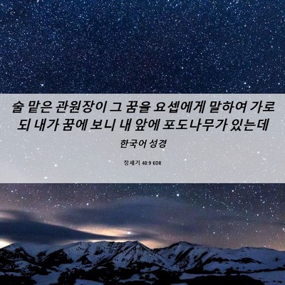 Picture 06 - 창세기 40:9 KOR - 술 맡은 관원장이 그 꿈을 요셉에게 - Bible Verse Picture