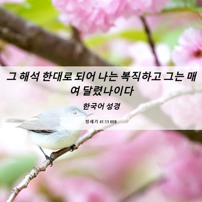 Picture 06 - 창세기 41:13 KOR - 그 해석 한대로 되어 나는 복직하고 - Bible Verse Picture