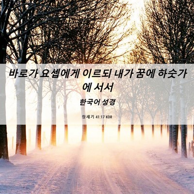 Picture 06 - 창세기 41:17 KOR - 바로가 요셉에게 이르되 내가 꿈에 - Bible Verse Picture
