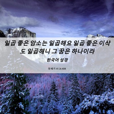 Picture 06 - 창세기 41:26 KOR - 일곱 좋은 암소는 일곱해요 일곱 - Bible Verse Picture