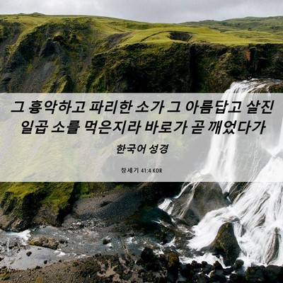 Picture 06 - 창세기 41:4 KOR - 그 흉악하고 파리한 소가 그 - Bible Verse Picture
