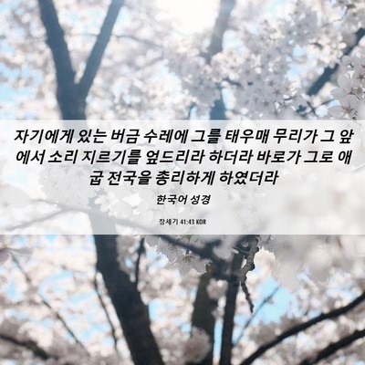 Picture 06 - 창세기 41:43 KOR - 자기에게 있는 버금 수레에 그를 - Bible Verse Picture