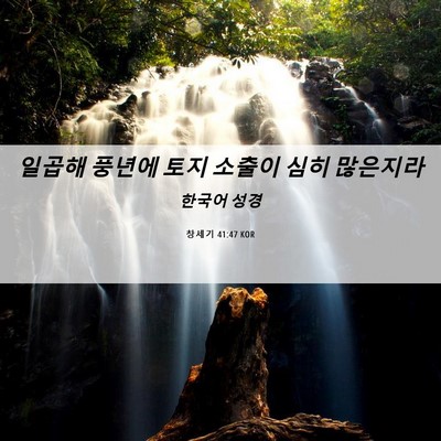 Picture 06 - 창세기 41:47 KOR - 일곱해 풍년에 토지 소출이 심히 - Bible Verse Picture