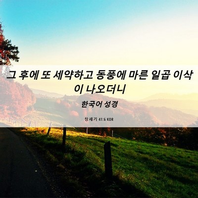 Picture 06 - 창세기 41:6 KOR - 그 후에 또 세약하고 동풍에 마른 - Bible Verse Picture