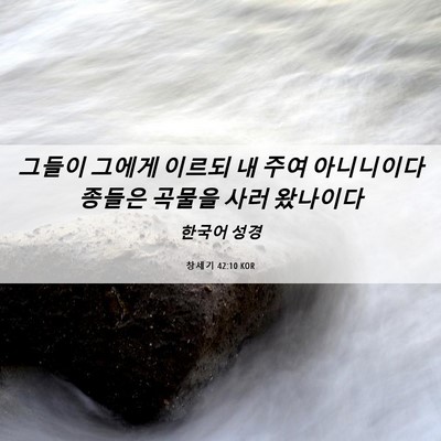 Picture 06 - 창세기 42:10 KOR - 그들이 그에게 이르되 내 주여 - Bible Verse Picture