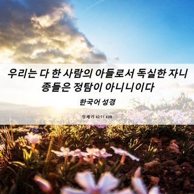 Picture 06 - 창세기 42:11 KOR - 우리는 다 한 사람의 아들로서 - Bible Verse Picture