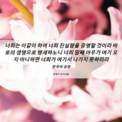 Picture 06 - 창세기 42:15 KOR - 너희는 이같이 하여 너희 진실함을 - Bible Verse Picture