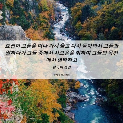 Picture 06 - 창세기 42:24 KOR - 요셉이 그들을 떠나 가서 울고 다시 - Bible Verse Picture