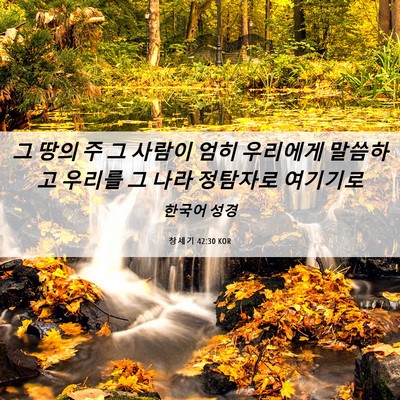 Picture 06 - 창세기 42:30 KOR - 그 땅의 주 그 사람이 엄히 우리에게 - Bible Verse Picture