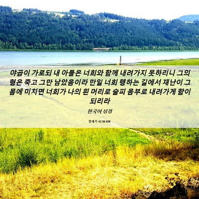 Picture 06 - 창세기 42:38 KOR - 야곱이 가로되 내 아들은 너희와 - Bible Verse Picture