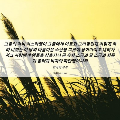 Picture 06 - 창세기 43:11 KOR - 그들의 아비 이스라엘이 그들에게 - Bible Verse Picture
