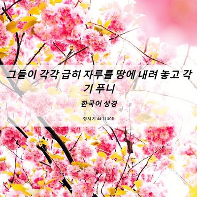 Picture 06 - 창세기 44:11 KOR - 그들이 각각 급히 자루를 땅에 내려 - Bible Verse Picture