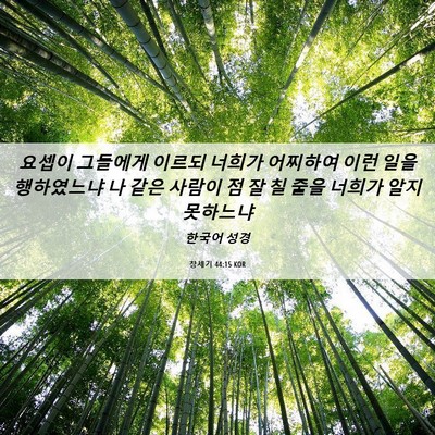 Picture 06 - 창세기 44:15 KOR - 요셉이 그들에게 이르되 너희가 - Bible Verse Picture