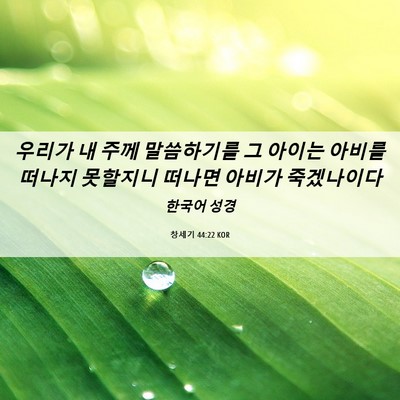 Picture 06 - 창세기 44:22 KOR - 우리가 내 주께 말씀하기를 그 - Bible Verse Picture