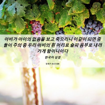Picture 06 - 창세기 44:31 KOR - 아비가 아이의 없음을 보고 죽으리니 - Bible Verse Picture
