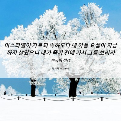 Picture 06 - 창세기 45:28 KOR - 이스라엘이 가로되 족하도다 내 아들 - Bible Verse Picture