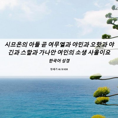 Picture 06 - 창세기 46:10 KOR - 시므온의 아들 곧 여무엘과 야민과 - Bible Verse Picture