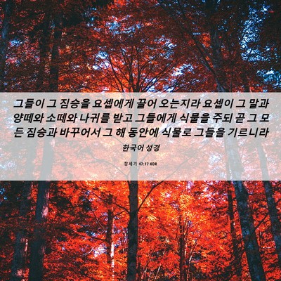 Picture 06 - 창세기 47:17 KOR - 그들이 그 짐승을 요셉에게 끌어 - Bible Verse Picture