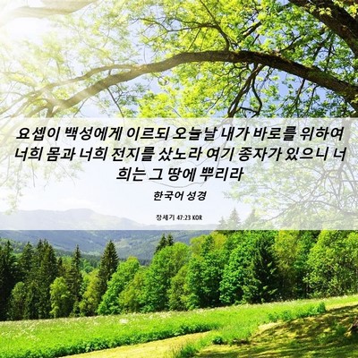 Picture 06 - 창세기 47:23 KOR - 요셉이 백성에게 이르되 오늘날 내가 - Bible Verse Picture