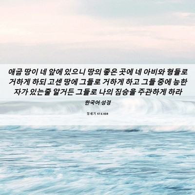 Picture 06 - 창세기 47:6 KOR - 애굽 땅이 네 앞에 있으니 땅의 좋은 - Bible Verse Picture