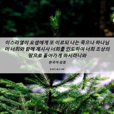 Picture 06 - 창세기 48:21 KOR - 이스라엘이 요셉에게 또 이르되 나는 - Bible Verse Picture