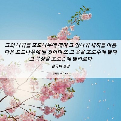 Picture 06 - 창세기 49:11 KOR - 그의 나귀를 포도나무에 매며 그 - Bible Verse Picture