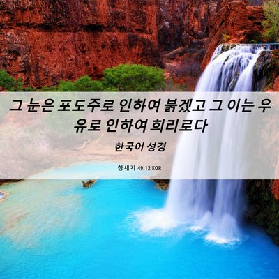 Picture 06 - 창세기 49:12 KOR - 그 눈은 포도주로 인하여 붉겠고 그 - Bible Verse Picture
