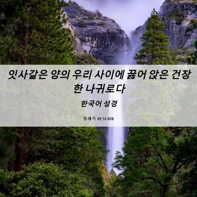 Picture 06 - 창세기 49:14 KOR - 잇사갈은 양의 우리 사이에 꿇어 - Bible Verse Picture