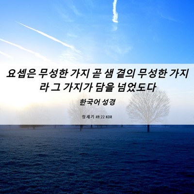 Picture 06 - 창세기 49:22 KOR - 요셉은 무성한 가지 곧 샘 곁의 - Bible Verse Picture