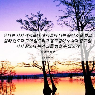 Picture 06 - 창세기 49:9 KOR - 유다는 사자 새끼로다 내 아들아 - Bible Verse Picture
