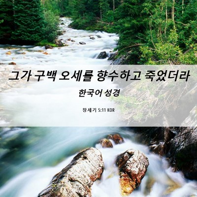 Picture 06 - 창세기 5:11 KOR - 그가 구백 오세를 향수하고 - Bible Verse Picture