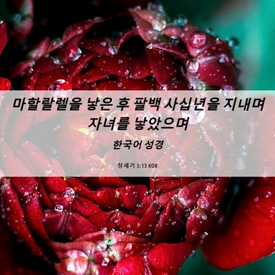 Picture 06 - 창세기 5:13 KOR - 마할랄렐을 낳은 후 팔백 사십년을 - Bible Verse Picture