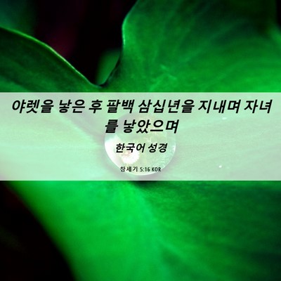 Picture 06 - 창세기 5:16 KOR - 야렛을 낳은 후 팔백 삼십년을 - Bible Verse Picture
