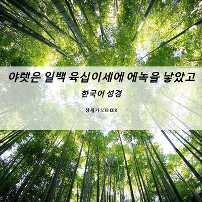 Picture 06 - 창세기 5:18 KOR - 야렛은 일백 육십이세에 에녹을 - Bible Verse Picture