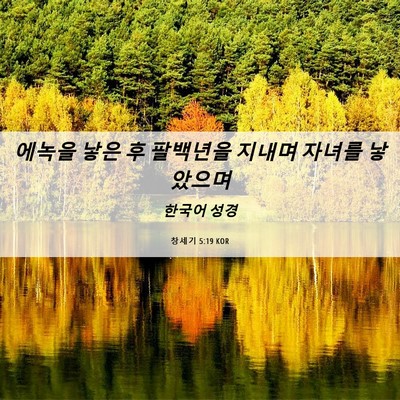 Picture 06 - 창세기 5:19 KOR - 에녹을 낳은 후 팔백년을 지내며 - Bible Verse Picture