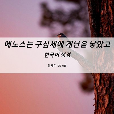 Picture 06 - 창세기 5:9 KOR - 에노스는 구십세에 게난을 - Bible Verse Picture