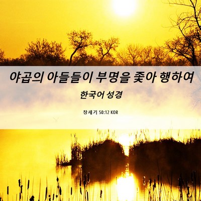 Picture 06 - 창세기 50:12 KOR - 야곱의 아들들이 부명을 좇아 - Bible Verse Picture