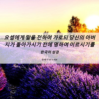 Picture 06 - 창세기 50:16 KOR - 요셉에게 말을 전하여 가로되 당신의 - Bible Verse Picture