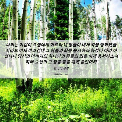 Picture 06 - 창세기 50:17 KOR - 너희는 이같이 요셉에게 이르라 네 - Bible Verse Picture