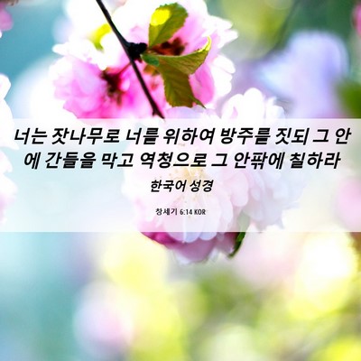 Picture 06 - 창세기 6:14 KOR - 너는 잣나무로 너를 위하여 방주를 - Bible Verse Picture