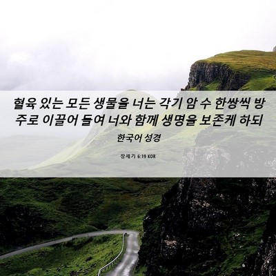 Picture 06 - 창세기 6:19 KOR - 혈육 있는 모든 생물을 너는 각기 암 - Bible Verse Picture