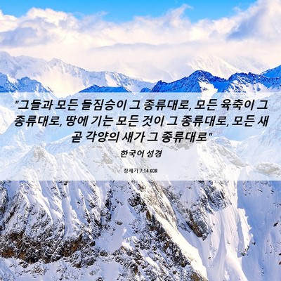 Picture 06 - 창세기 7:14 KOR - 