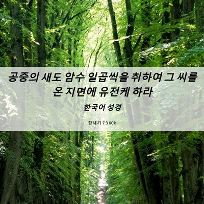 Picture 06 - 창세기 7:3 KOR - 공중의 새도 암수 일곱씩을 취하여 - Bible Verse Picture